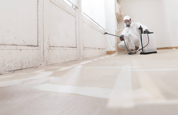 24/7 Emergency Mold Remediation experts in Tampa, FL